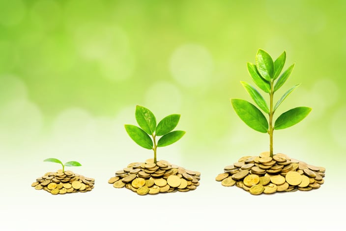 Three ways your accountant can help grow your business