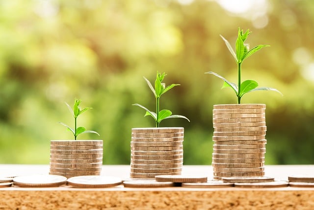 Take advantage of the Annual Investment Allowance